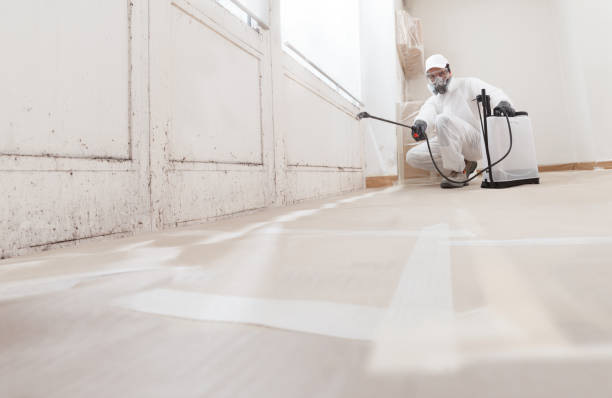 24/7 Emergency Attic Mold Removal experts in Laingsburg, MI